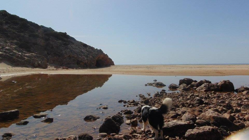 Casa Mestre Vila do Bispo Dış mekan fotoğraf